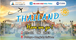 DauThau.Net tổ chức Tour du lịch mùa hè cho nhân sự 3 miền từ 07/6/2023 - 11/6/2023