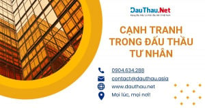 Cạnh tranh trong đấu thầu tư nhân