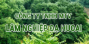 CÔNG TY TNHH MỘT THÀNH VIÊN LÂM NGHIỆP ĐẠ HUOAI