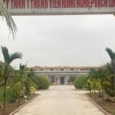 CÔNG TY TNHH MỘT THÀNH VIÊN NÔNG NGHIỆP BẠCH LONG