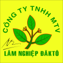 CÔNG TY TNHH MỘT THÀNH VIÊN LÂM NGHIỆP ĐĂK TÔ